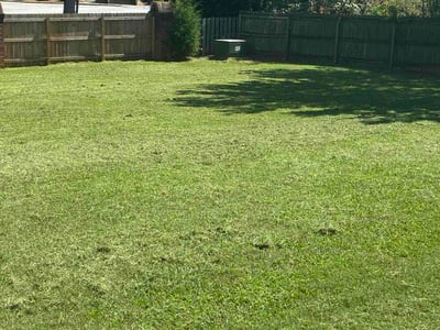 Lawn care service in Travelers Rest, 29690