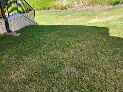Lawn care service in Gainesville, 30507