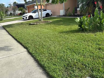 Lawn care service in St. Cloud, 34772