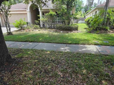 Lawn care service in Land O' Lakes, 34637
