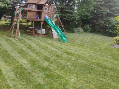 Lawn care service in Rochester Hills, 48309