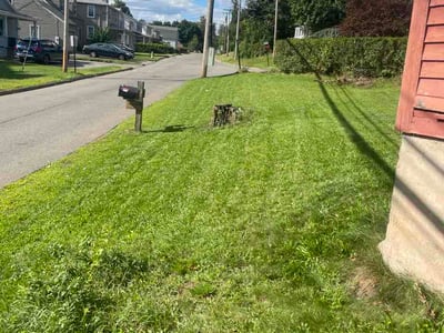 Lawn care service in Middletown, 06457