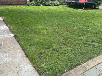 Lawn care service in Chicago, 60628