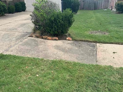 Lawn care service in Katy, 77494