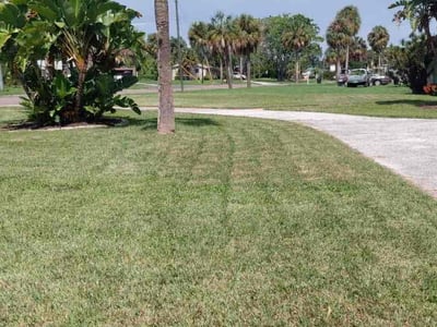 Lawn care service in St. Petersburg, 33703