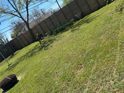 Lawn care service in Austin, 78752