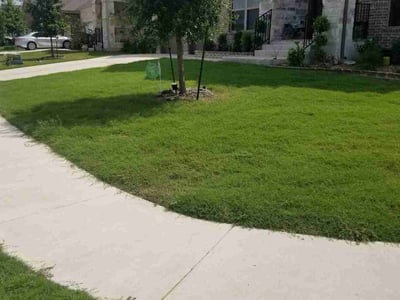 Lawn care service in Kyle, 78640