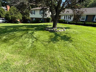 Lawn care service in Bowie, 20721