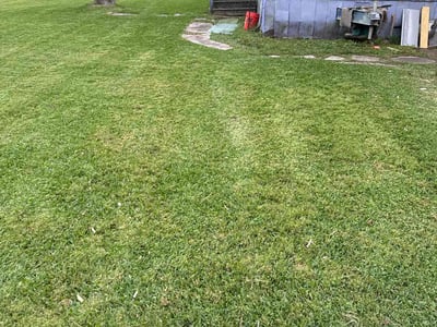 Lawn care service in Virginia Beach, 23453