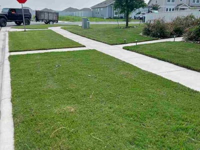 Lawn care service in Kyle, 78640