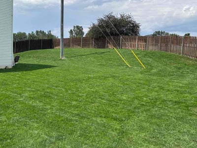 Lawn care service in Bellevue, 68123