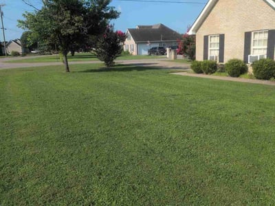 Lawn care service in La Vergne, 37086