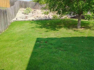 Lawn care service in Kyle, 78640