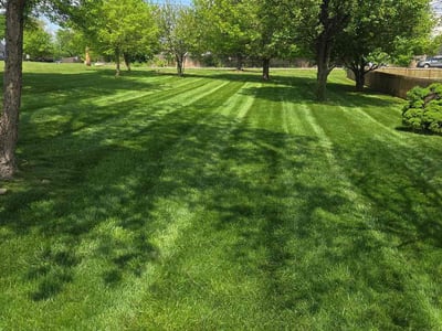 Lawn care service in Kansas City, 64157