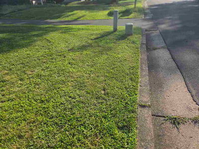 Lawn care service in Pennsauken, 08109