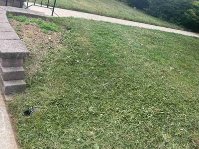 Lawn care service in Catonsville, 21228