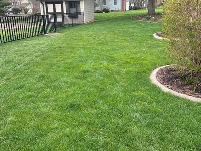 Lawn care service in Canton, 44718