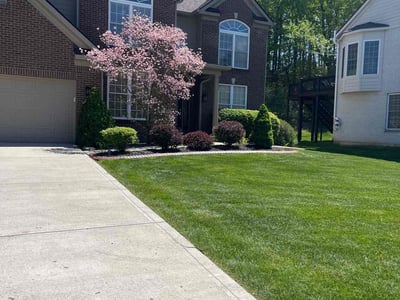 Lawn care service in Indianapolis, 46236