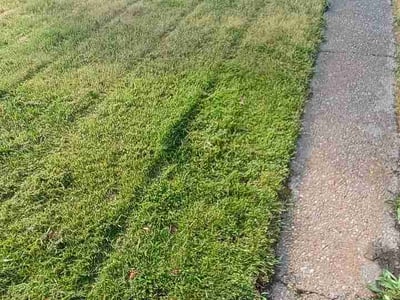Lawn care service in Spokane, 99207