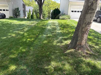 Lawn care service in Columbia, 21029