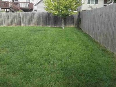 Lawn care service in Des Moines, 50317