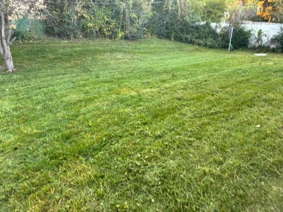 Lawn care service in Willingboro, 08046