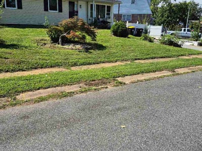 Lawn care service in New Castle, 19720