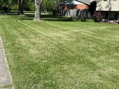 Lawn care service in Fairfield, 45014