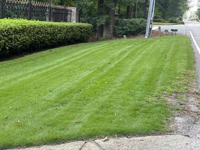 Lawn care service in Decatur, 30033