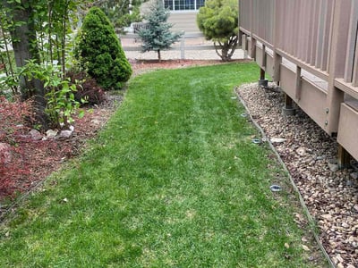 Lawn care service in Parker, 80134