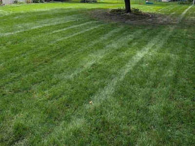 Lawn care service in Maple Grove, 55369