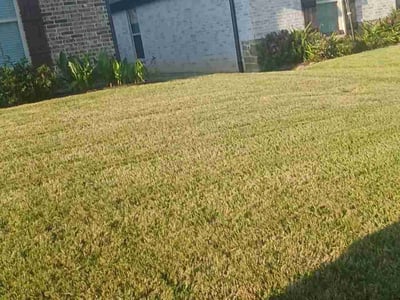 Lawn care service in Longview, 75604