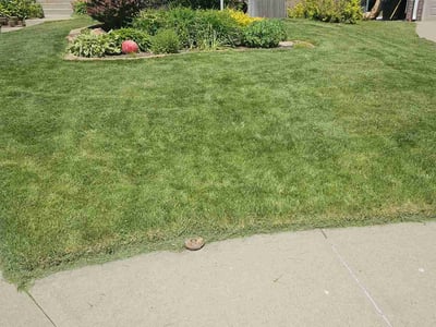 Lawn care service in Omaha, 68144