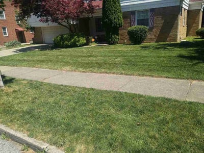 Lawn care service in Euclid, 44117