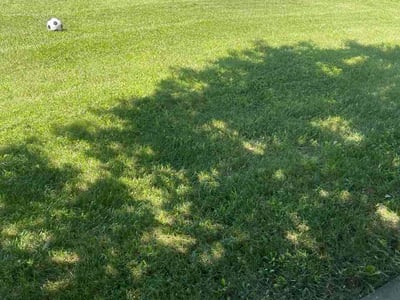 Lawn care service in Hamilton, 45013