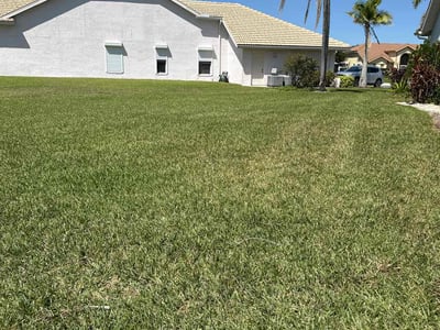 Lawn care service in Fort Myers, 33912