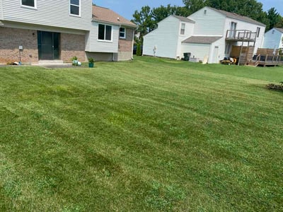 Lawn care service in Louisville, 40220
