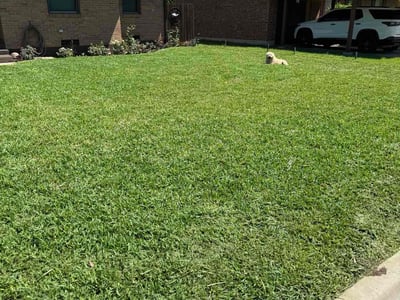 Lawn care service in Denton, 76209