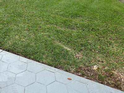 Lawn care service in Plantation, 33322