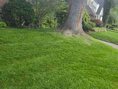 Lawn care service in South Orange Village, 07079