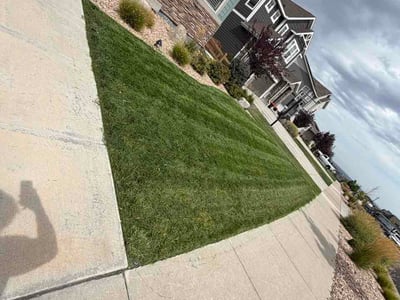 Lawn care service in Arvada, 80007