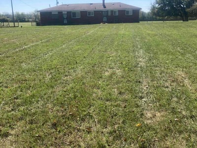 Lawn care service in Dayton, 45417