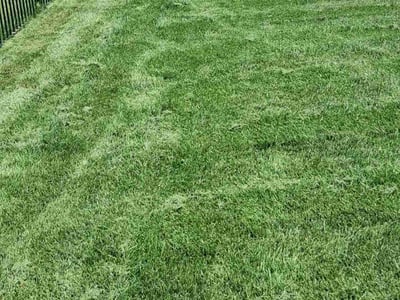 Lawn care service in Janesville, 53546