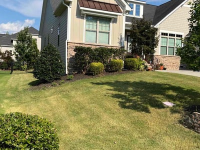 Lawn care service in Cary, 27519