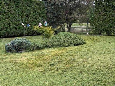 Lawn care service in Wilkes-Barre, 18702