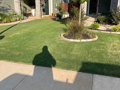 Lawn care service in Greenville, 29607