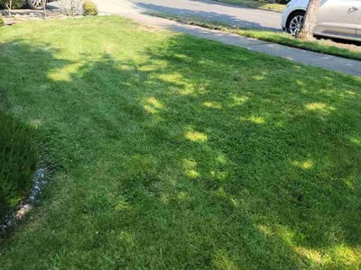 Lawn care service in DuPont, 98327