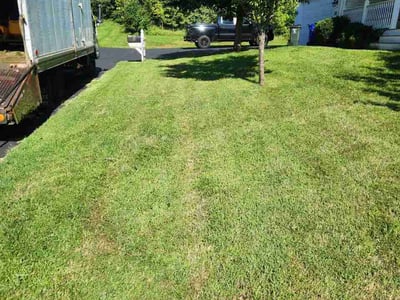 Lawn care service in Ellicott City, 21043