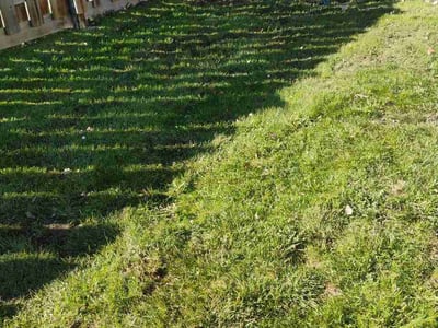 Lawn care service in St. Clair Shores, 48080