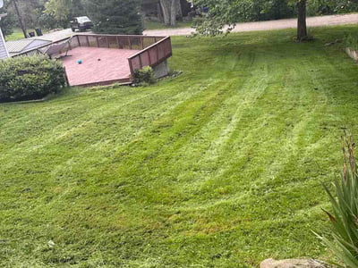Lawn care service in Greenock, 15047